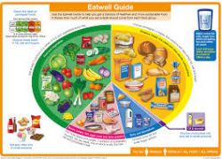 Food and Nutrition